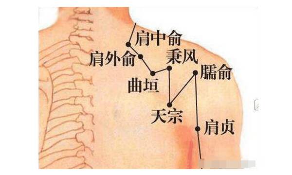 推拿調理頸椎問題，掌握這2個穴位